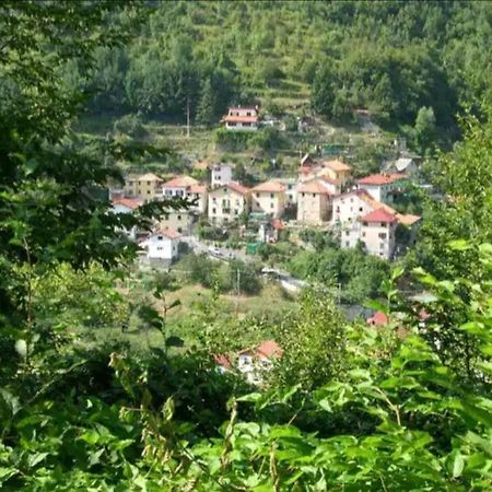 Il Non Ti Scordar Di Me Vila Valbravenna Exterior foto