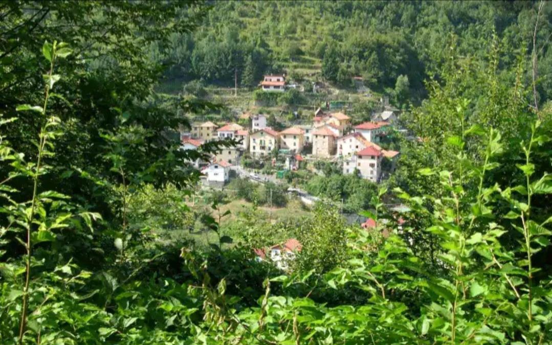Il Non Ti Scordar Di Me Vila Valbravenna Exterior foto