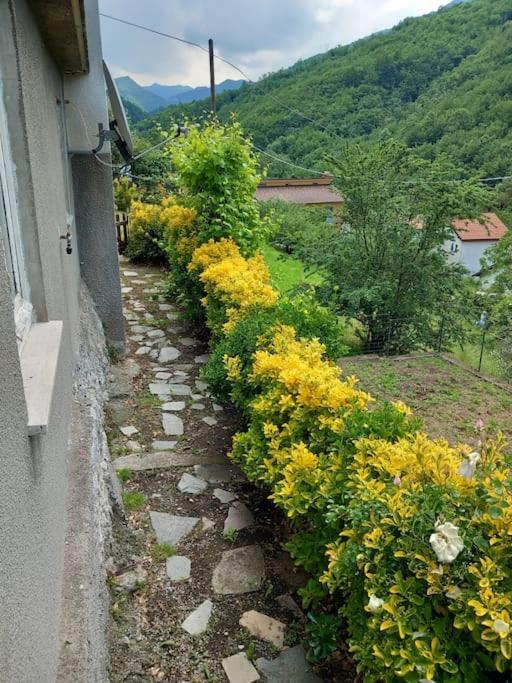 Il Non Ti Scordar Di Me Vila Valbravenna Exterior foto